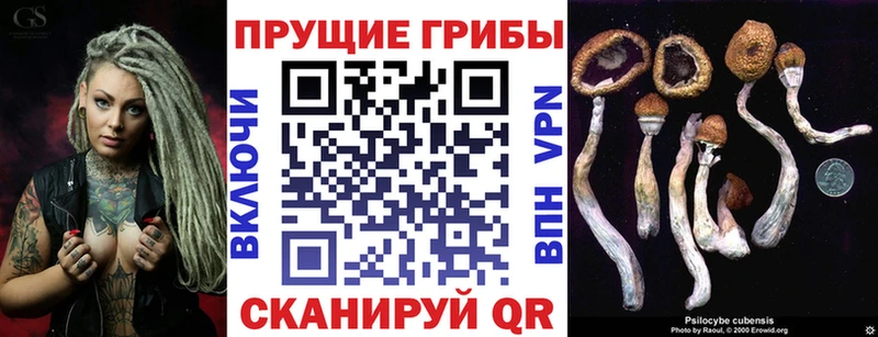 Галлюциногенные грибы MAGIC MUSHROOMS  Богородицк 